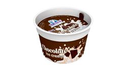 Igloo Chocolate Cup Ice Cream 100ml