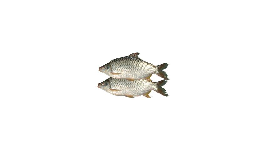 Sharputi Cut & Clean 1Kg
