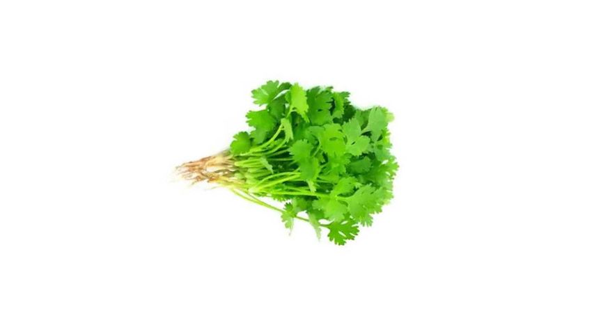 brightfarms Coriander Leaves (Dhaniapata) 100g ±10g