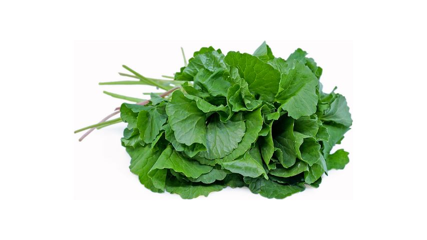 brightfarms Pennywort Leaves (Thankuni Pata) 8pcs Bundle 100g +/-10g