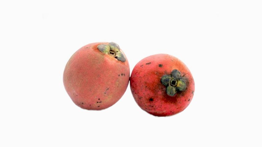 Velvet Apple (Bilati Gab) 1KG (±30gm)