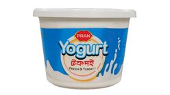 Pran Sour Curd 500g