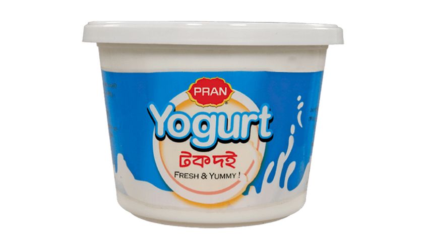 Pran Sour Curd 500g