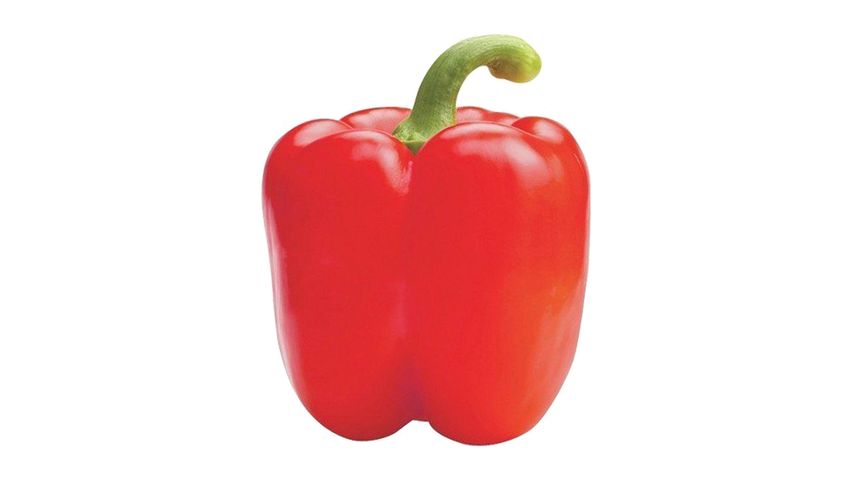 Capsicum Red 1pc x 150g