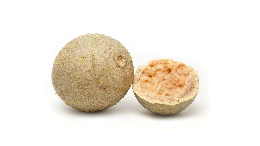 brightfarms Wood Apple Kodbel 1 Piece