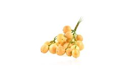 Burmese Grape - Lotkon 500g