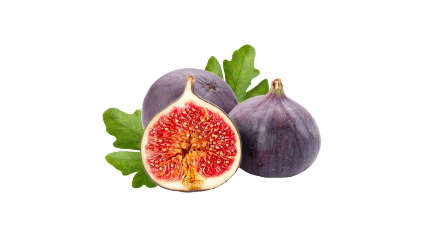 Fig 160g