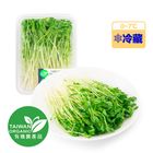 ▌有機豌豆芽 100g▌