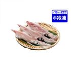 Neritic Squid 250g