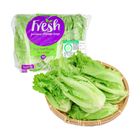 【陽光田野履歷福山萵苣250g(±10％)(4入)