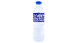 Cactus Mineral Water 500ml