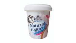 Farm Fresh Natural Fresh Milk Yogurt 400g