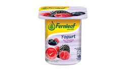 Fernleaf Yogurt Mixed Berries 110ml