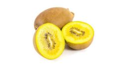 Gold Kiwi 5pcs