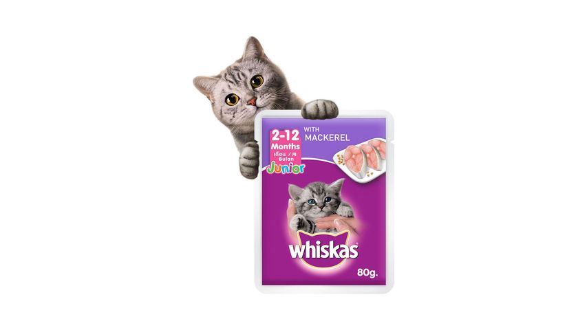 Whiskas Cat Food Wet Junior Mackerel 12 x 80g