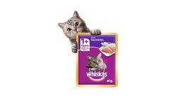 Whiskas Cat Food Wet Adult Mackerel 12 x 80g
