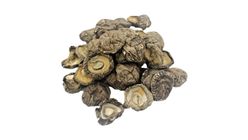 Timur Cendawan Hitam 75g