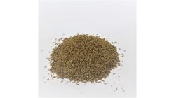Timur Cumin Seeds 100g