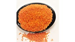 Timur Mysore Dhall 350g