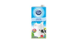 Dutch Lady Low Fat | 1 L