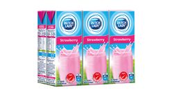 Dutch Lady UHT Strawberry Milk | 6 x 200 ml