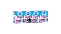Dutch Lady UHT Milky Frozen Strawberry | 4 x 125 ml