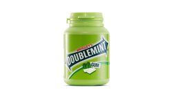 Wrigley's Doublemint Peppermint Candy Gum 58g