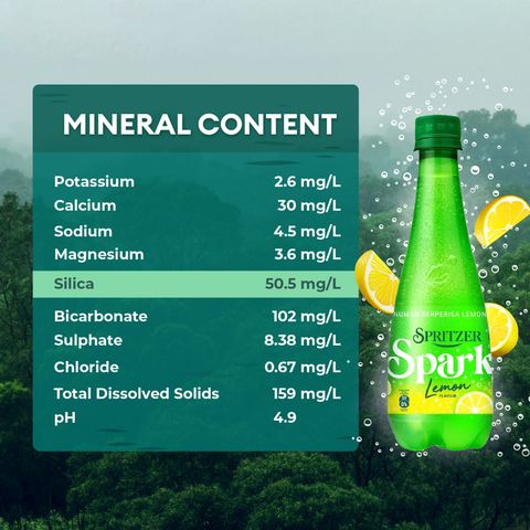 Spritzer Sparkling with Lemon 400ml