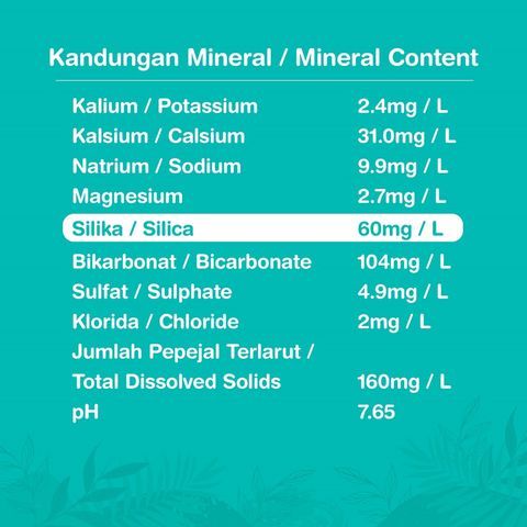 Spritzer Mineral Water 1.25L