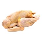 Hyfresh Chicken Parts PTS Frozen Layer Whole Chicken 1.2kg