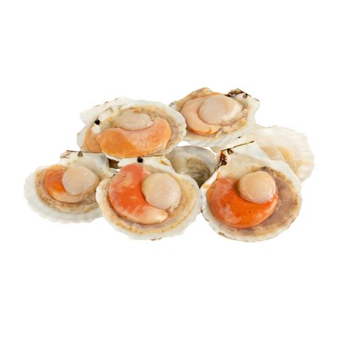 GST Frozen Half Shell Scallop with Roe