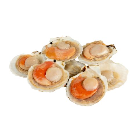 GST Frozen Half Shell Scallop with Roe