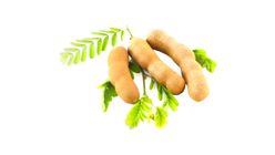 Raw Tamarind 500g