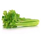 Celery Local 500g