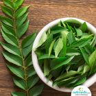 Curry Leaves