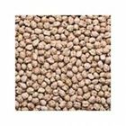 White Chana 500g