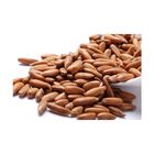 Pine Nuts Gold (With Shell) - 200g