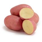 Red Potato