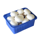 White Button Mushrooms 250g