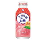 FUJIYA NECTAR WHITE PEACH JUICE 380G 10035787