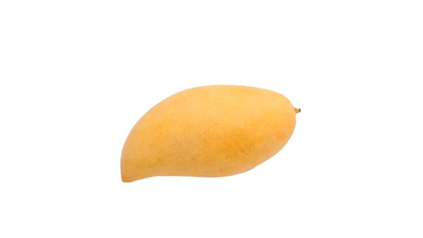 Thailand TP Nam Dok Mai Mango 1pc