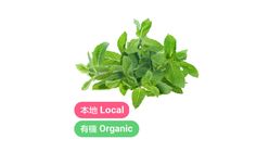 有心機 本地有機薄荷 約 20克