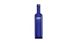 SKYY 伏特加750ml