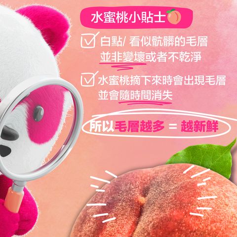Japan Yamanashi Peach 1 pack (2 pcs) (Packaging will be shipped out randomly)