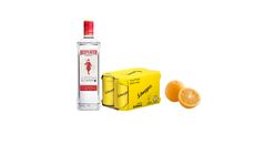 GIn & Tonic 組合