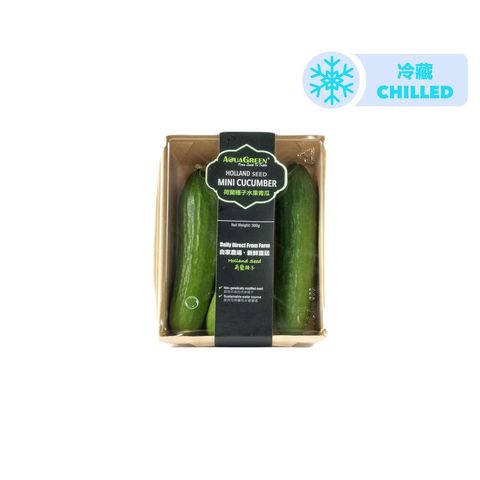 (Hydroponic) Aqua Green Holland Mini Cucumber 1 pack approx. 300g