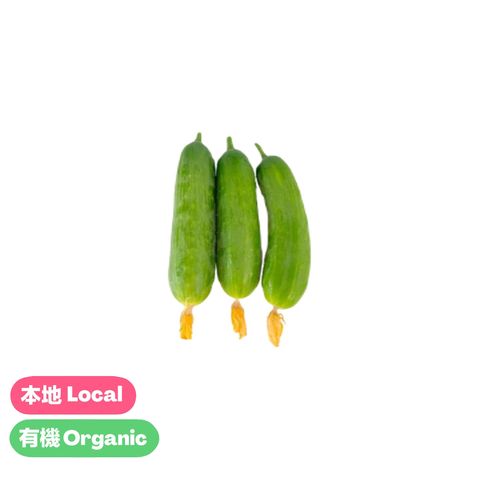 (Local Organic) Zen Organic Farm-Mini- Cucumber 1 pack approx. 300g