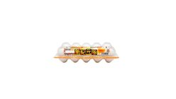 Japan Shin Kigen White Egg 10pcs [D219] - 2603892