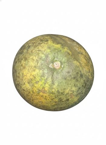 brightfarms Jambura Pomelo 1 Piece