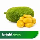 brightfarms Jackfruit (Kathal) 5kg ±200g